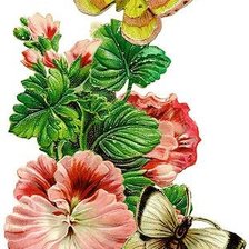 Схема вышивки «Бабочка с цветами»