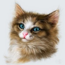 Схема вышивки «Котэ»