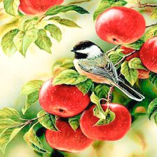 Схема вышивки «Синица в яблоках»