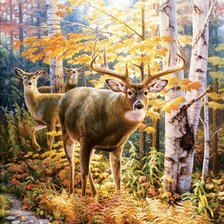 Схема вышивки «el bosque»