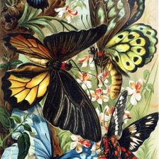 maripozas3