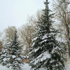 Схема вышивки «№2280985»