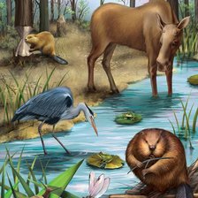 Схема вышивки «En el bosque2»