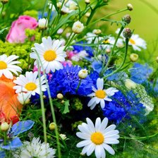 Схема вышивки «Цветы»