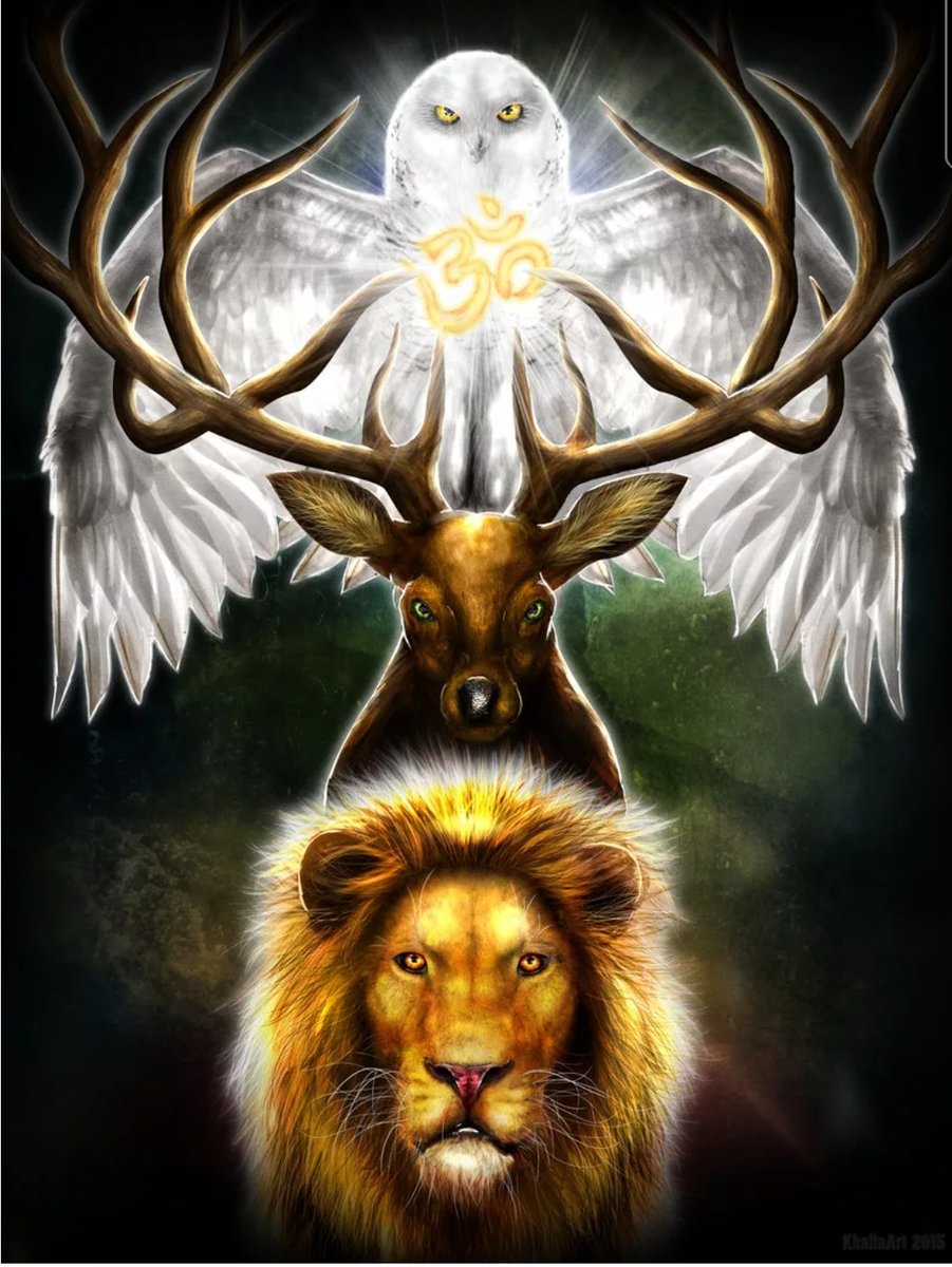 Тотем - звери, защита, тотем - оригинал