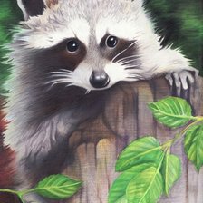 Схема вышивки «Енот»