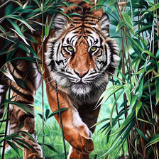 Схема вышивки «№2281646»