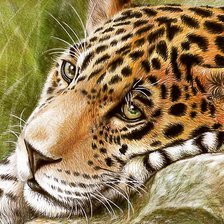 Схема вышивки «№2281657»