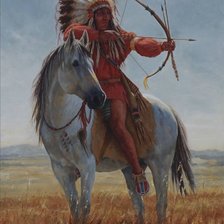 Схема вышивки «Pradera»