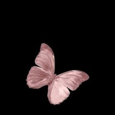 Схема вышивки «mariposa»