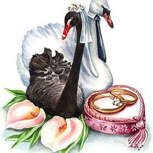 Схема вышивки «Метрика в подарок»