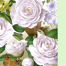 Схема вышивки «Серия "Флора и фауна". Птичка в цветах»