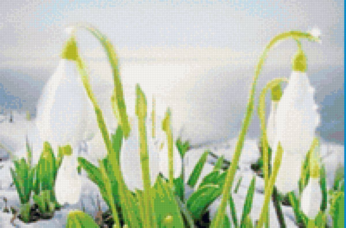 Подснежники - предпросмотр