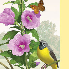 Схема вышивки «Серия "Флора и фауна". Птичка в мальвах»