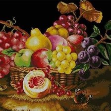 Fruit Basket
