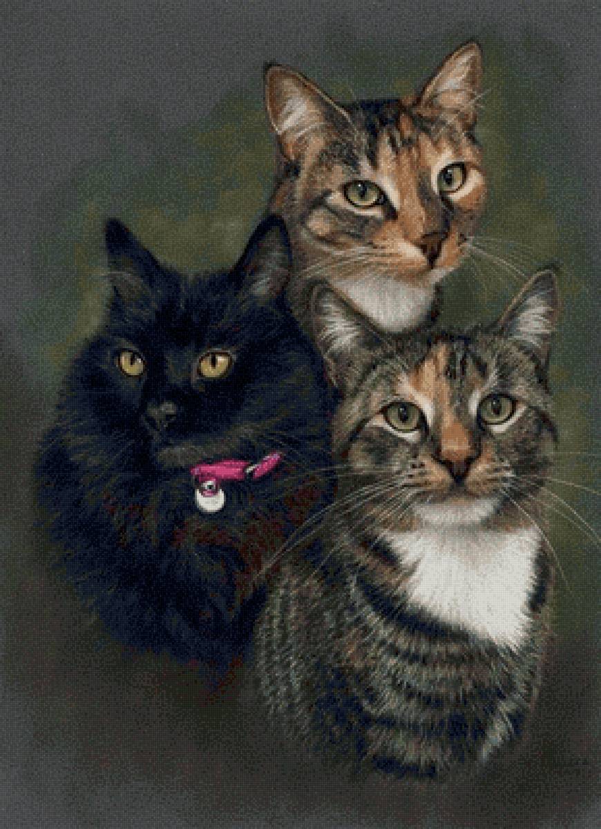 трио - кошка кот котята - предпросмотр