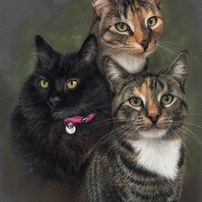 Схема вышивки «трио»