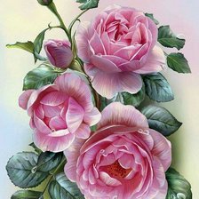 Схема вышивки «розы»