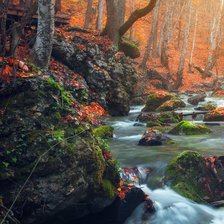 Схема вышивки «Осенний ручей»