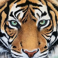 Схема вышивки «№2283246»