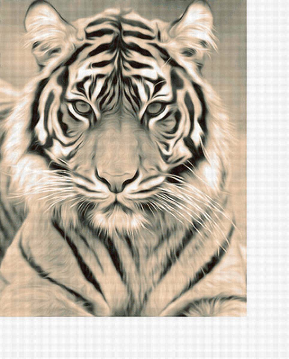 Серия "Хищники". Тигр - тигр, хищники, животные - предпросмотр