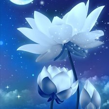 Схема вышивки «ночная тень»