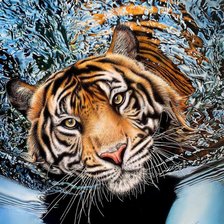 Схема вышивки «Тигр»