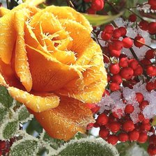 Схема вышивки «№2284875»