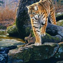 Схема вышивки «На рыбалке»