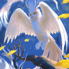 Магическая сова