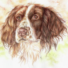 Схема вышивки «№2285372»