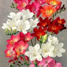 Схема вышивки «Цветы»