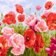 Схема вышивки «makowe pole»