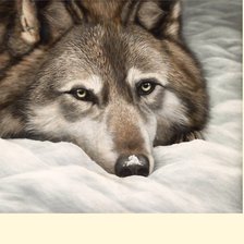 Схема вышивки «№2285706»