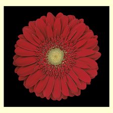 Схема вышивки «№2285729»