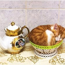 Схема вышивки «№2286304»