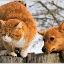 Схема вышивки «Рыжики»