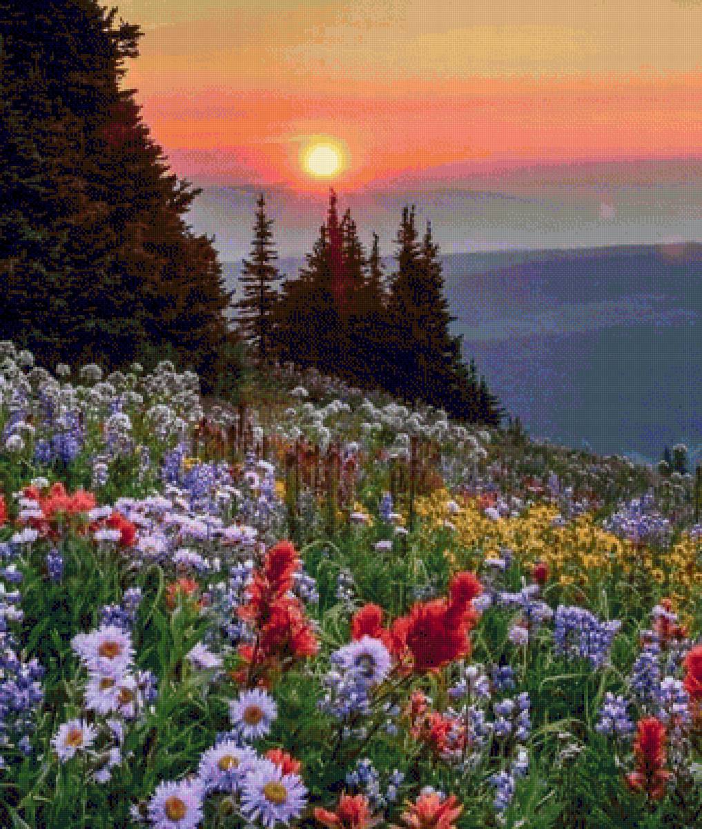 Рассвет - предпросмотр