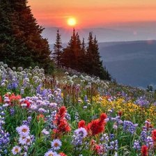 Схема вышивки «Рассвет»