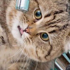 Схема вышивки «пить хочется»