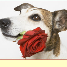 Схема вышивки «С 8 Марта!»