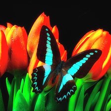 Схема вышивки «Тюльпаны»