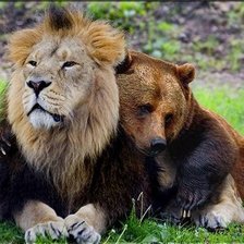 Схема вышивки «суровая дружба»