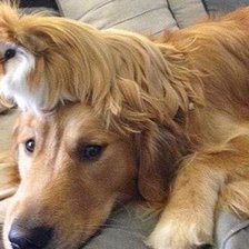 Схема вышивки «дружба»