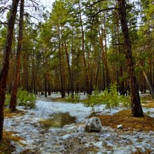 Схема вышивки «Весна в лесу»