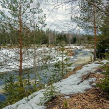 Схема вышивки «весна на берегу реки»