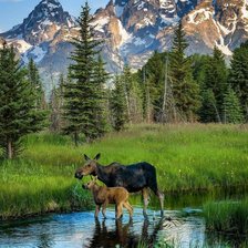 Схема вышивки «Семья»
