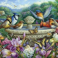 Схема вышивки «v prirode»