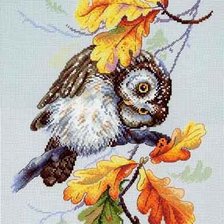 Схема вышивки «ВЗГЛЯД»