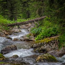 Схема вышивки «лесной ручей»